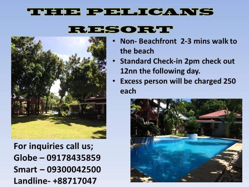 The Pelicans Resort Batangas Exterior photo