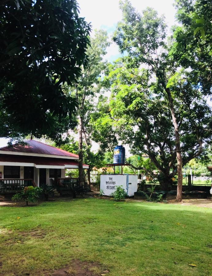 The Pelicans Resort Batangas Exterior photo